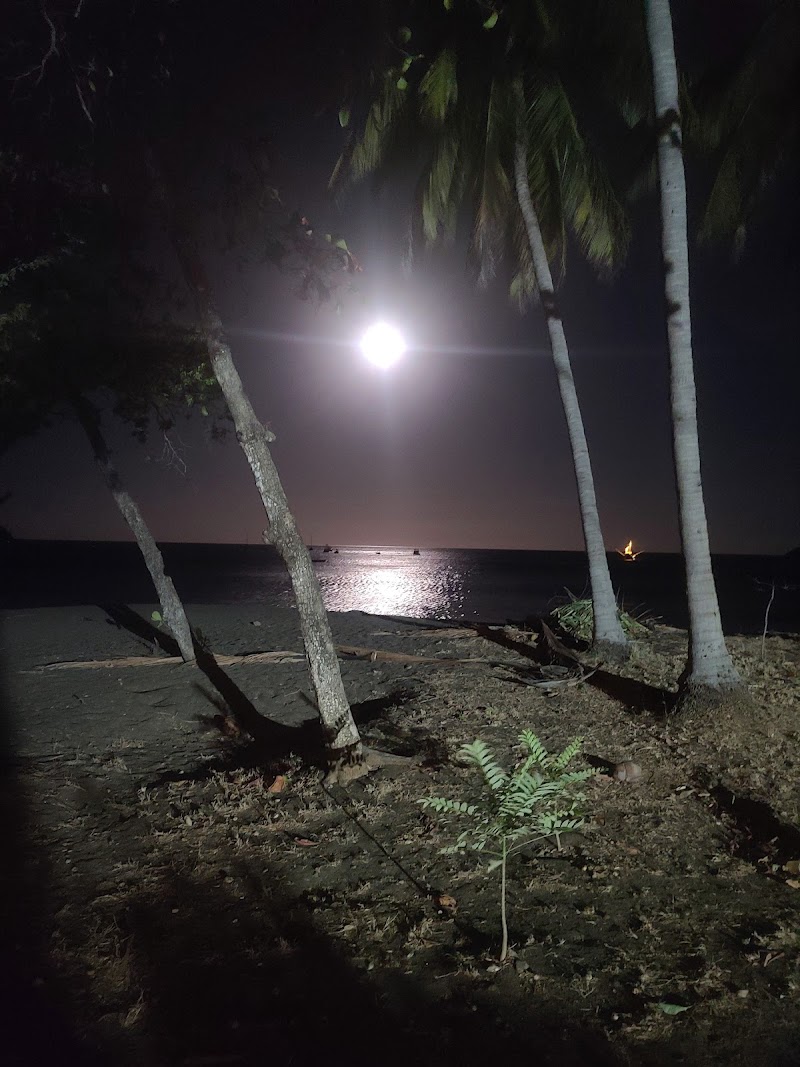 Belushis Tours Costa Rica