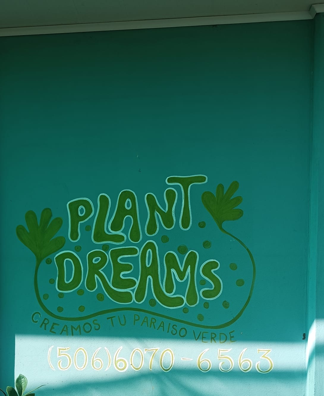 Vivero Plant Dreams