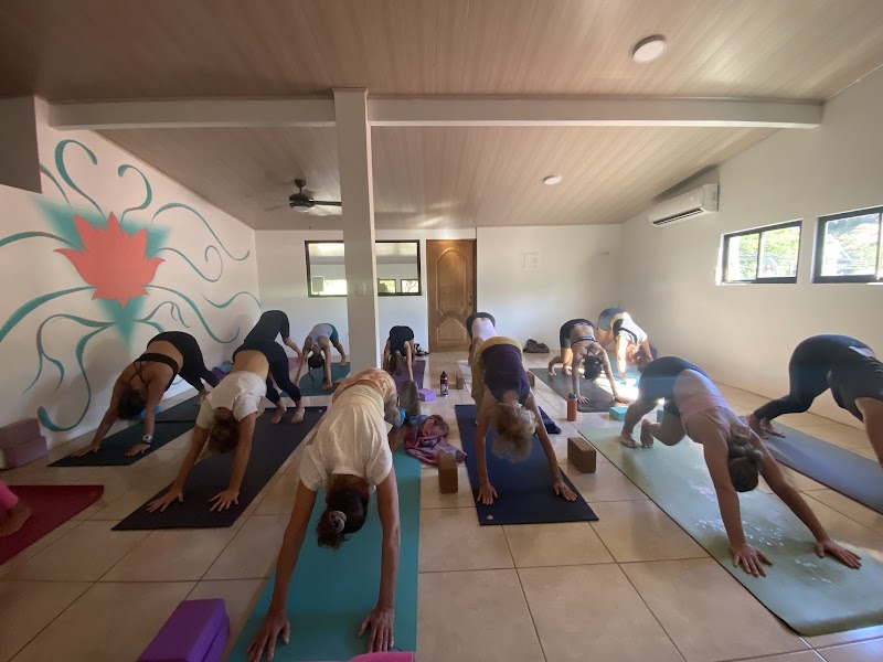Chillasana Yoga Surf