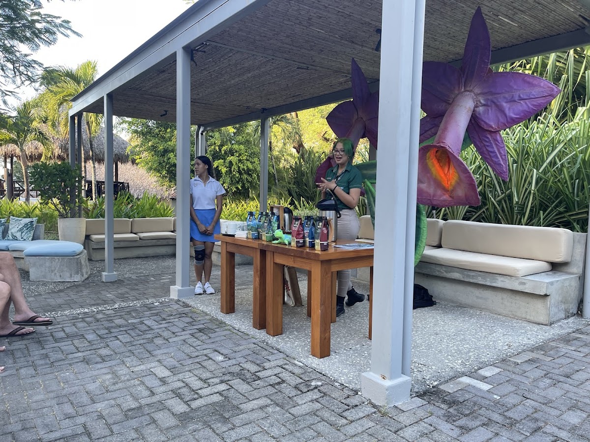 Britt Shop Secrets Papagayo