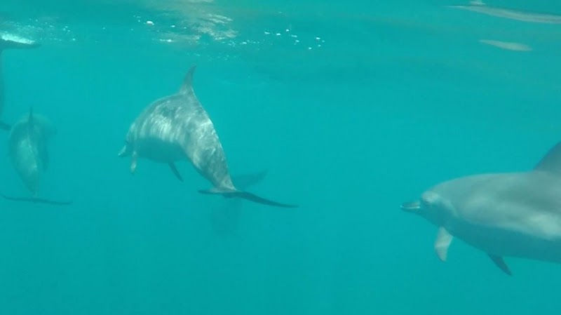 Samara Sea Tours