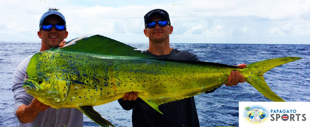Papagayo SportFishing