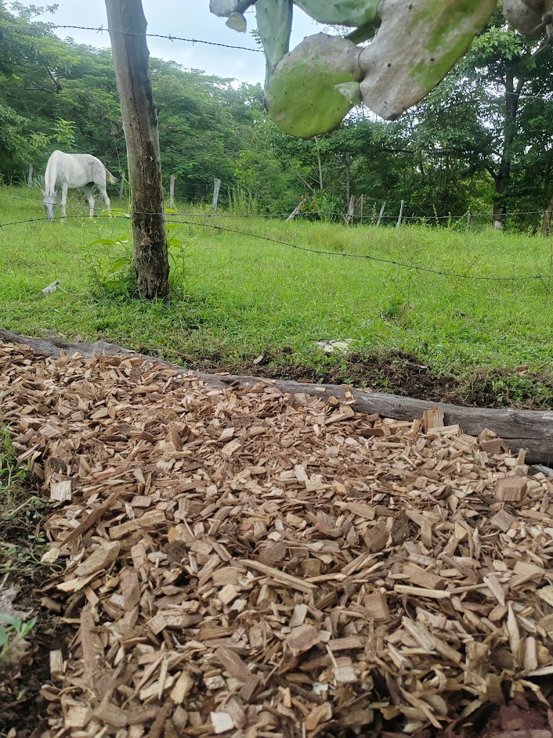 Mulch y materiales de jardín