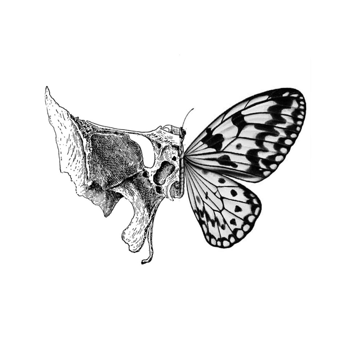 Osteopathy Costa Rica