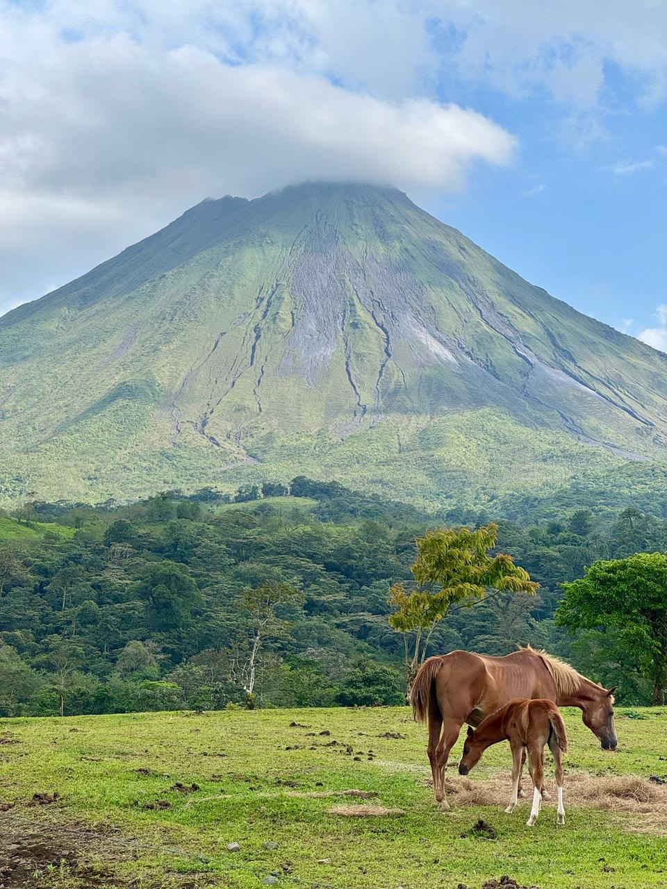 Pura Drive Rent a Car Costa Rica