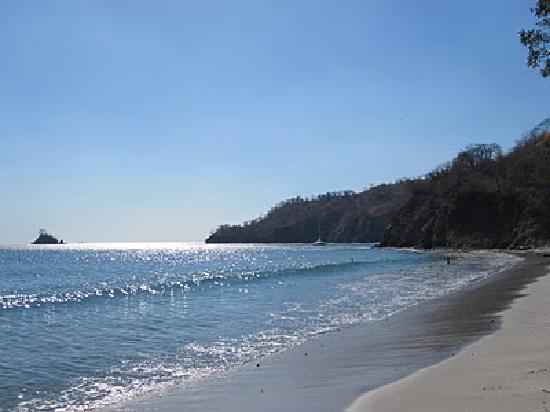 Jacamar Naturalist Tours (Guanacaste)