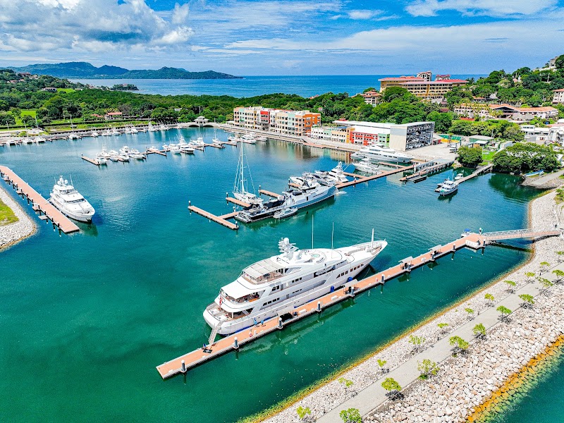 Marina Flamingo