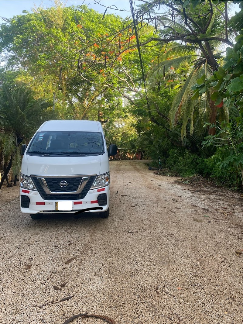 Potrero Monkey Tours & Transfers