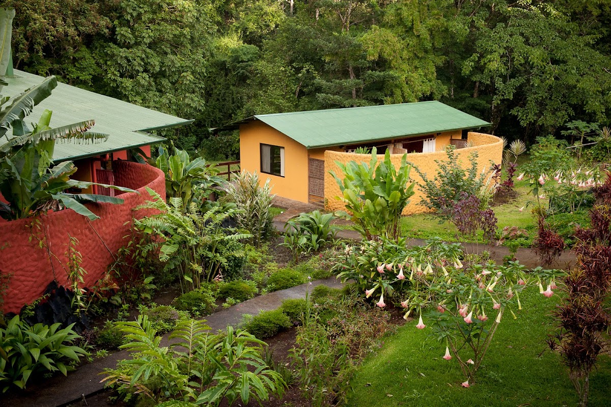 Living Forest Lodge And Wellness