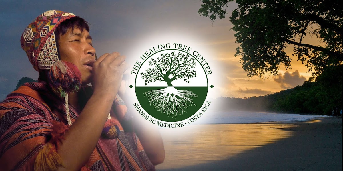 Healing Tree Center | Ayahuasca In Costa Rica
