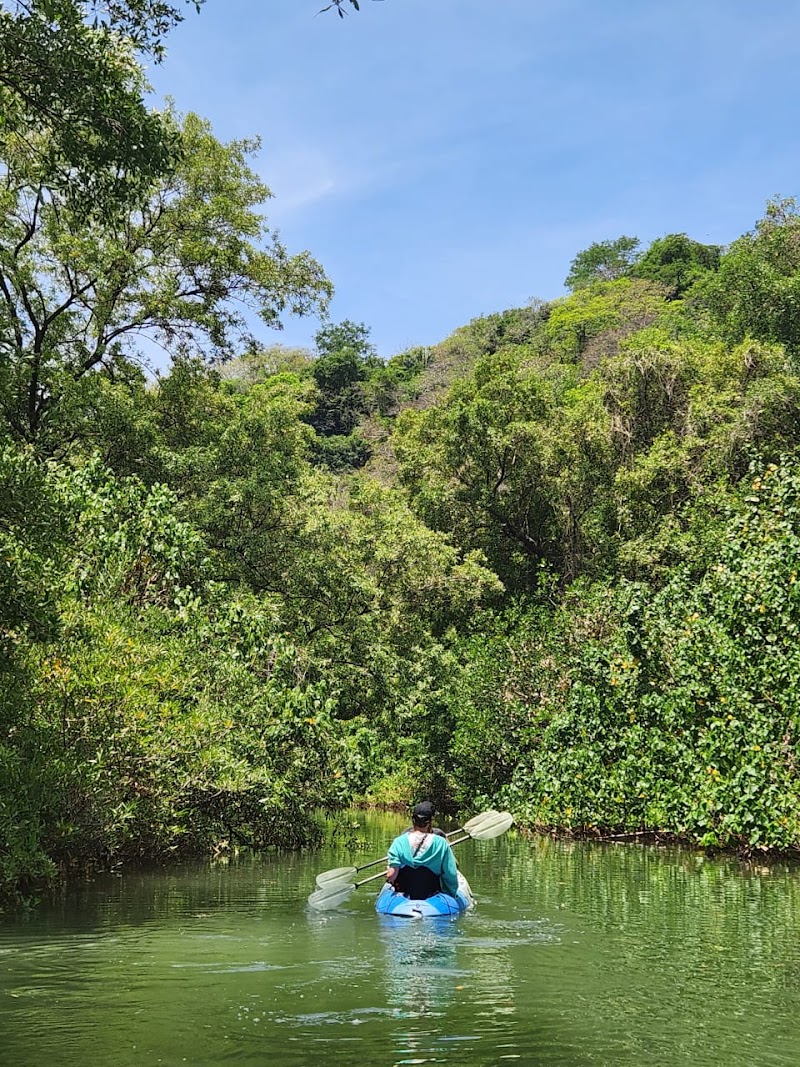 Carrillo Tours Eco Aventura