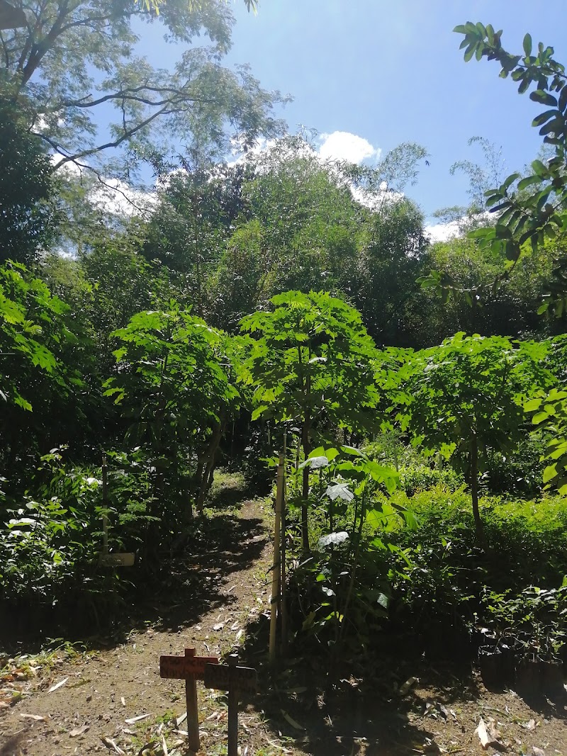 El Centro Verde - Asociación Nandamojo - Restoring Our Watershed