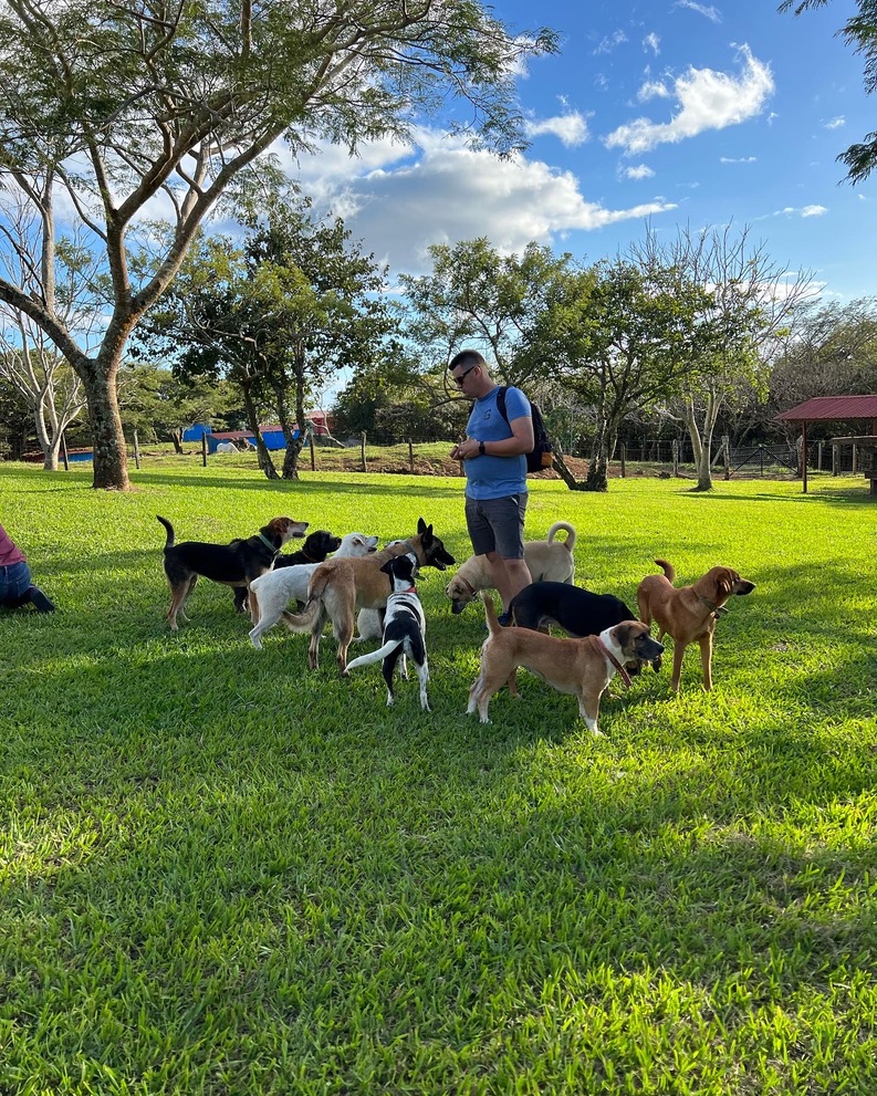 Guayabo Animal Rescue
