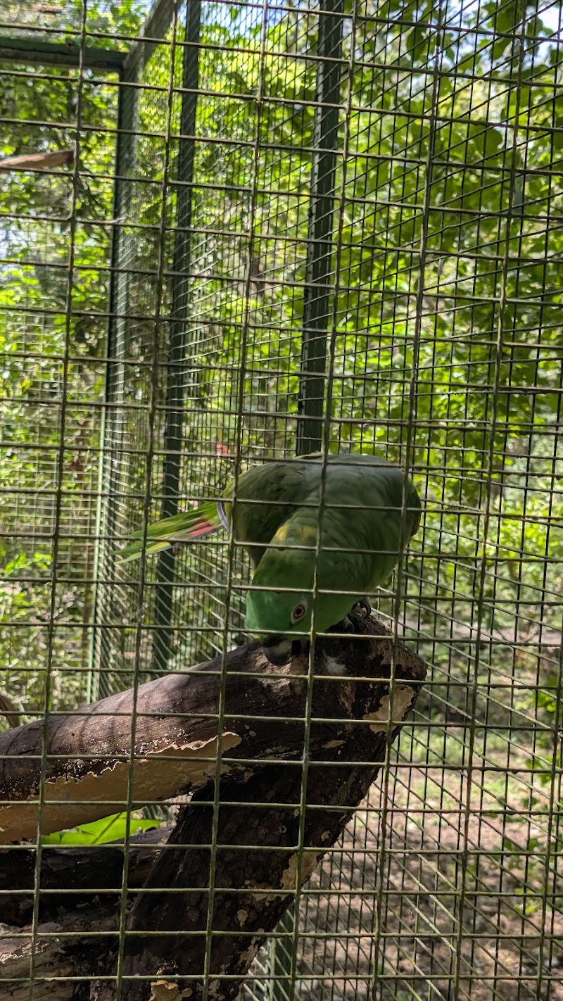 Apami Wildlife Rescue Center
